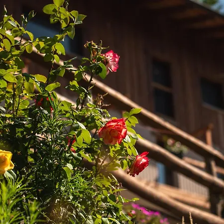 Ca D' Vetu Landhaus *