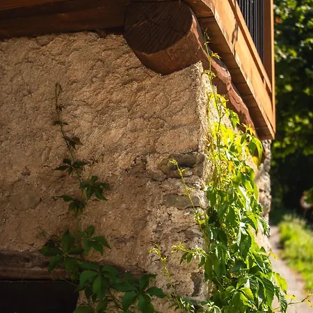 Landhaus Ca D' Vetu *