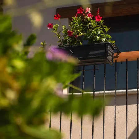 Ca D' Vetu Landhaus Roccaforte Mondovì